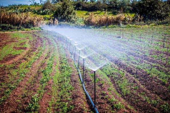 What are the 5 Main Methods of Irrigation?