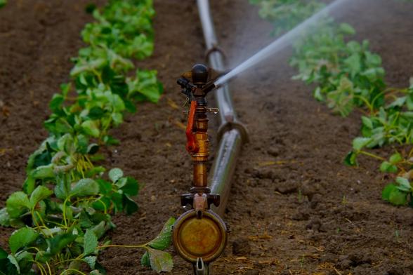 Best Irrigation System for Farming