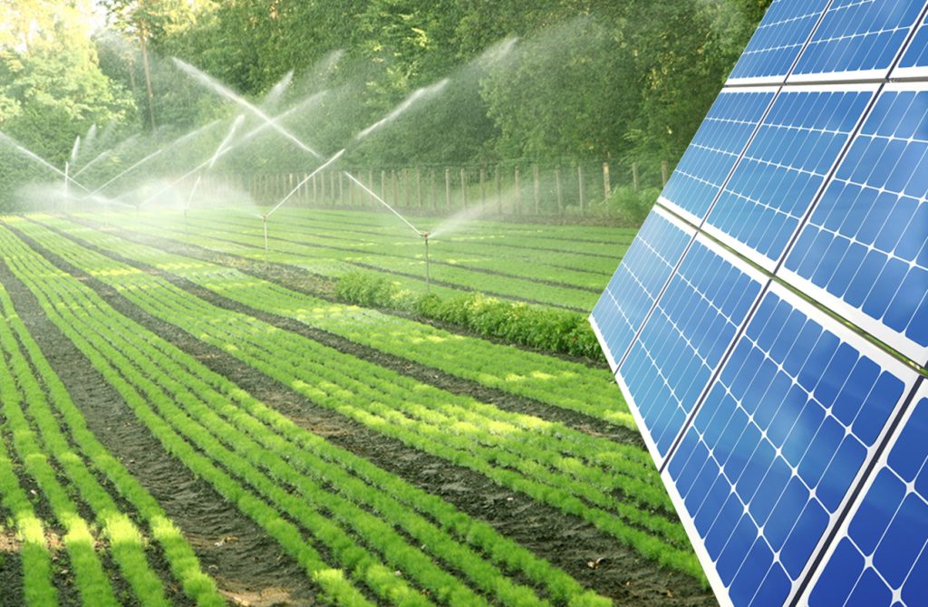 Solar water pump agriculture